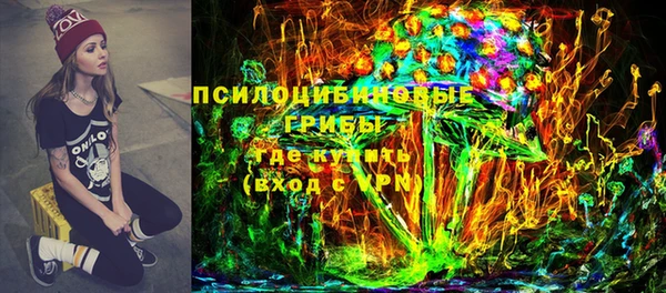 амф Аркадак