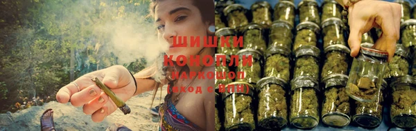 каннабис Арсеньев