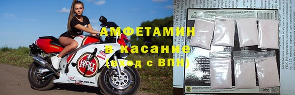 амф Аркадак