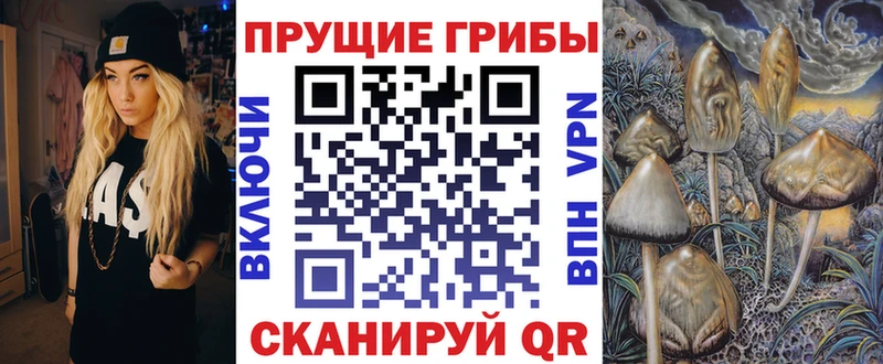 Псилоцибиновые грибы мицелий  Мелеуз 